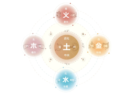 图片2